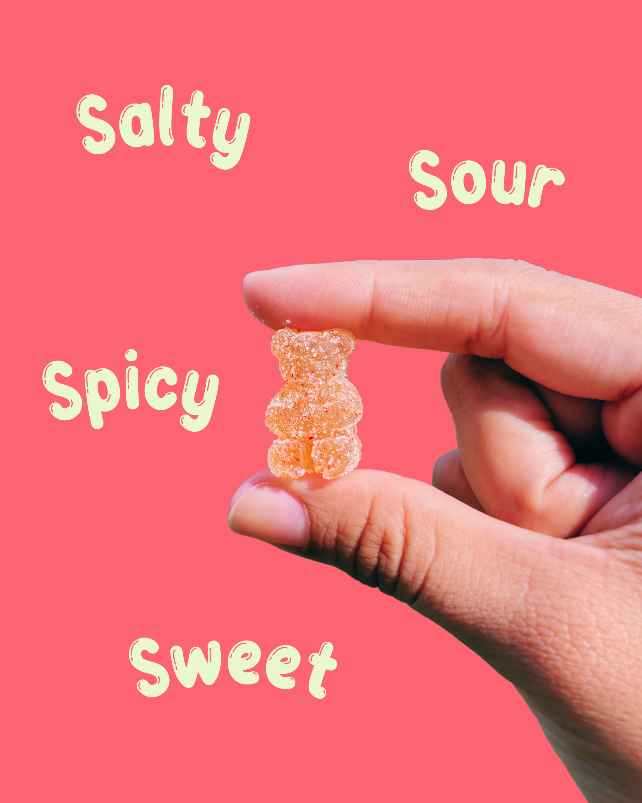 https://monchisnacks.co/wp-content/uploads/2025/09/1-scaled.png